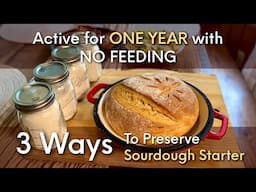 Preserve Sourdough Starter 3 Ways! Active for One Year with No Feeding
