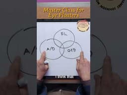 THE OPTICS OF EYE FLOATERS (8)