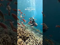 WHERE’S ON YOUR 2025 BUCKET LIST? 💦💙 #scuba #scubadiver #travelreels