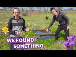 Our garden is waking up (And there is a surprise) | Life on a small farm in Central Europe