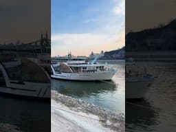 POV: You're cruising the Danube River with AmaWaterways! #cruise #shorts