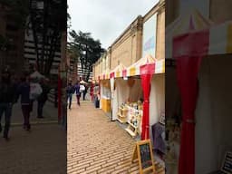 Bogotá en capas  #shorts #shortvideo #elpaísdelabelleza