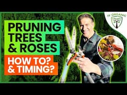 Simple Pruning Tricks That Will Make Your Garden THRIVE