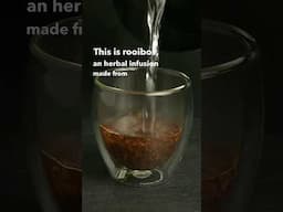What is rooibos tea? #rooibostea