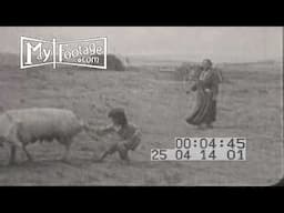 NAVAJO INDIAN LIFE