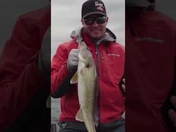 Korey lands a Nice Walleye #fishing #walleyefishing