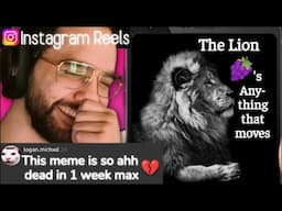 This new meme is definitely 𝒕𝒐𝒐 𝒇𝒂𝒓 🦁💔