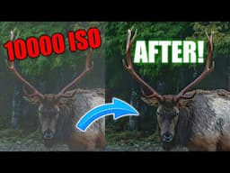 Wildlife Photography Gamechanger | WATCH BEFORE YOU BUY EXPENSIVE GEAR!
