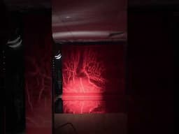 THIS is your SIGN to use MYLAR FOIL and COLOURED PAPER BACKDROP for your next shoot! #photography
