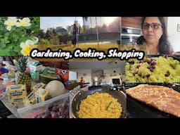 Friday Grocery Shopping| Healthy recipes| Quinoa dosa, Moong dal khamani, Quick paneer Bhurji