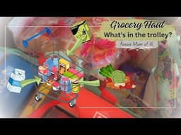 LARGE FAMILY Grocery Shopping - What's in the trolley?