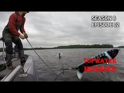How Topwater SAVED My Muskie Hunt! | Reading Conditions for the Topwater BITE! S8.E02