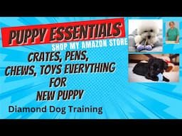 Puppy Essentials for New Puppy: Must-Haves For Your New Pup
