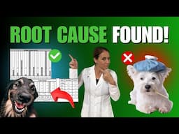 HTMA for Pets: The Test That Reveals What Bloodwork Misses [Holistic Vet Testing]