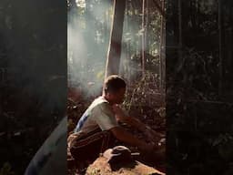 #youtubeshorts #dayak