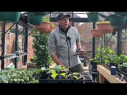 What I’m sowing and growing in April