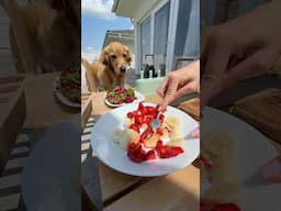 Pet parent hacks as a dog mom of three