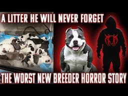 SO U WANT TO BE A AMERICAN BULLY BREEDER? THIS MIGHT CHANGE YOUR MIND!!!!!! KILLINOIS KENNELS LIVE!!