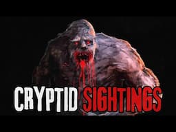 6 Scary Cryptid Sighting Horror Stories