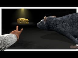 This Game Turned Us Into Rats