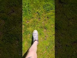 Get lost with me 🌸🍀 #pnw #intotheunknown