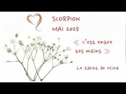 SCORPION ♏️ MAI 2025. « Beaucoup de changements à venir: c’est entre tes mains »