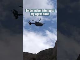 When US border patrol interrupts my desert agave bake #survivalskills #usborder #agaveplant