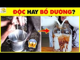 Sữa Thật Sữa Giả? 15 Thử Thách Đánh Lừa Mắt Bạn Trong 5 Giây! | Nhanh Trí