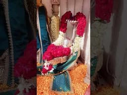 GURU JI AMRIT VELA SATSANG OFFICIAL #gurujikaashram #gurujilive#bademandir #gurujisatsang #guruji