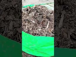 gardening ke liye patton ki khad Ghar per taiyar Karen, leaf compost #homegardening #composting