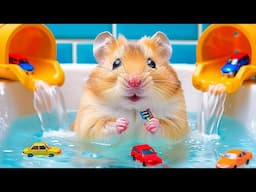 Hamster Splashy Escape from the Water Maze | Hamster Maze