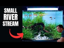 I MADE A RIVER AQUASCAPE FOR THE PERFECT NANO FISH! Aquascape Tutorial