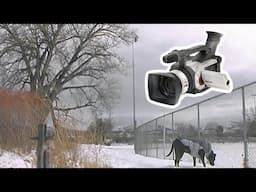 Canon GL1 Snow Day