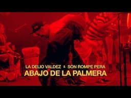 La Delio Valdez y Son Rompe Pera - Abajo de la Palmera