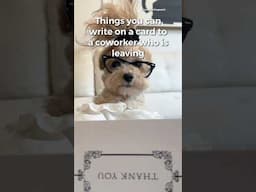What to write in a card to a coworker who is leaving #funny #funnyshorts #noodlesthepooch