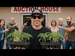 I BOUGHT TOO MUCH at the AUCTION!