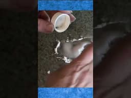 Stain Remover for Counter Tops, Carpets, and More