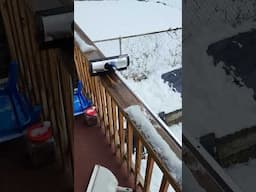 Solar Panels COVERED In Snow After CRAZY Wind Storm