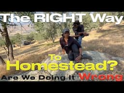 🚦The "RIGHT WAY" to HOMESTEAD! 😱 APPARENTLY, We're Doing It "WRONG"? #offgrid #homestead #tinyhouse