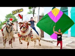5 Feet Big Kite Catch Roof  | Nasir Eid Cow Last Day