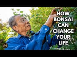 6 Lesser-Known Benefits of Having Bonsai as a Hobby