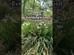 What a privilege to carry everything to God in prayer #whatafriendwehaveinjesus #christianhymns