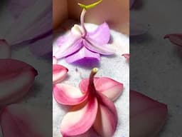 3 ways to dry flowers. Which method did you like the most? #flowers #diy #dryflowers