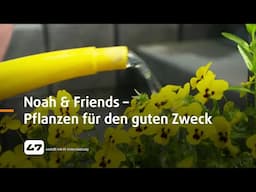 STUDIO 47 .live | NOAH & FRIENDS – PFLANZEN FÜR DEN GUTEN ZWECK
