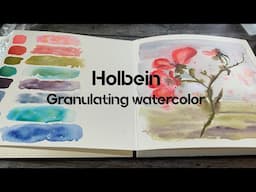 Bird set - Holbein granulating watercolors