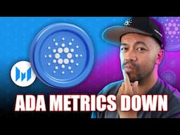 Cardano’s DeFi Decline. It Doesn't Look Good and the Path Forward