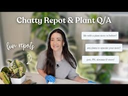 Repotting Some Pretty Plants & Answering More of Your Questions!