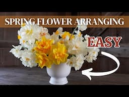 The Surprising Reason I Love Daffodils in Spring