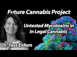 Dr. Tess Eidem: Untested Mycotoxins in Legal Cannabis