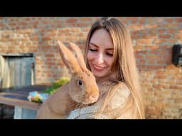 Life in the Ukrainian Countryside 🇺🇦 | Our New Farm Addition!